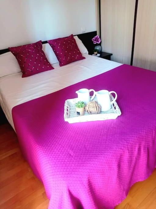 شقة Acogedor Apartamento Con Piscina Y Garaje ويسكا المظهر الخارجي الصورة